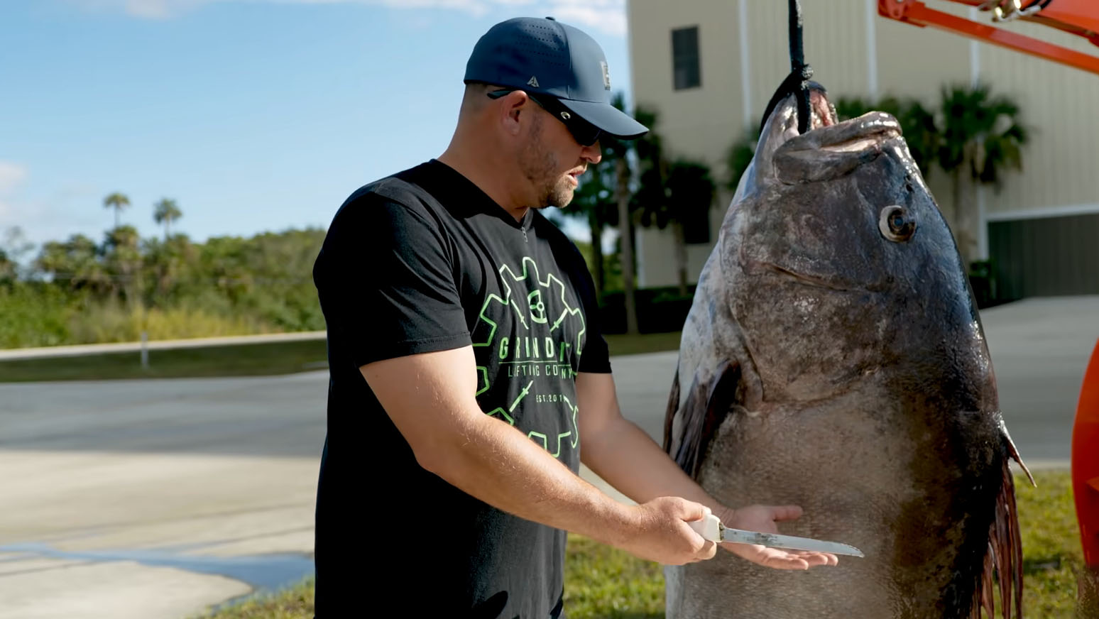 Man wearing a baseball cap and sunglasses, holding a knife while preparing to clean a large Goliath grouper fish hanging from a hook, with a background of greenery and a building.